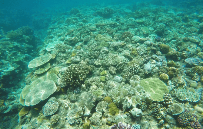 沖繩潛水地點推薦 沖繩潛水地點推薦