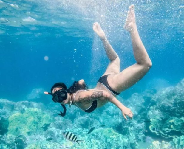 象島潛水季節