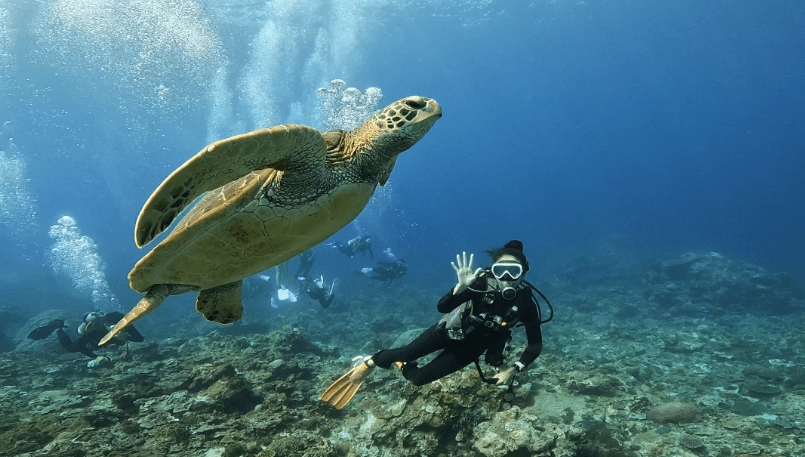 柴口浮潛區 柴口浮潛區